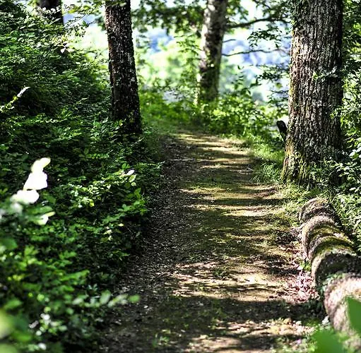 Ric Gasthof Saint-Céré