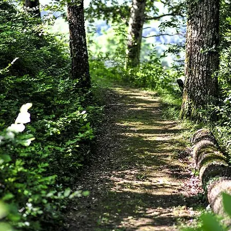 Ric בית הארחה Saint-Céré